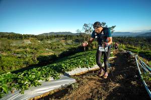 BIB: 
                            <button type="button" onclick="openModal(19111324)" class="btn btn-primary btn-sm float-right btn-popup" data-toggle="modal" data-target=".modal-high-quality">
                        <i class="fas fa-shopping-cart"></i> Add to Cart
                    </button>
                                            <button type="button" onclick="isThisMe(19111324, true)" class="btn btn-success btn-sm float-right btn-popup btn-isme hidden" data-toggle="tooltip" data-placement="bottom" title="นี่คือรูปของคุณใช่ไหม คลิกที่นี่เพื่อเอาเข้าอัลบั้ม">
                        <i class="fas fa-plus"></i> Add to album
                    </button>
                    <button type="button" onclick="isThisMe(19111324, false)" class="btn btn-warning btn-sm float-right btn-popup btn-isnotme hidden">
                        <i class="fas fa-ban"></i> Remove from album
                    </button>